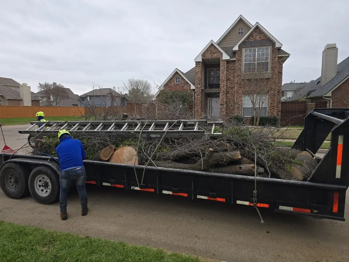 Expert Tree Fertilization with proper safety equipment in Myakka City
